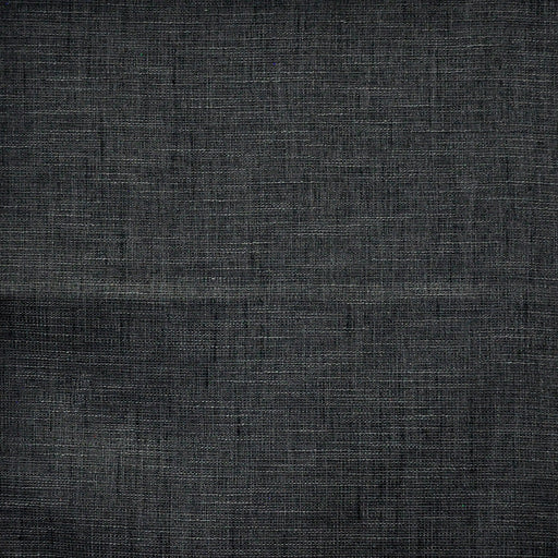 Lysander-# 659 charcoal