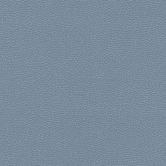 Levant-nj-# 1173 perwinkle