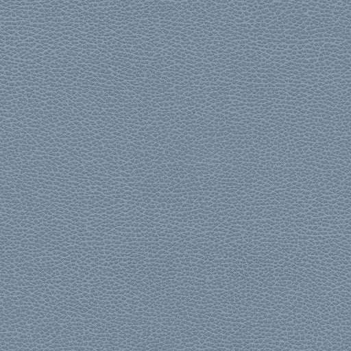 Levant-nj-# 1173 perwinkle