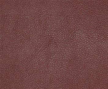Persuasion-# 004 beet
