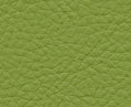 Classic(contract vinyl) - # 113 scallion- Maxwell Fabric By The Yard