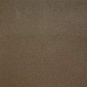 Esprit-# 041 mocha