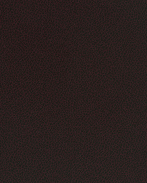 Scene-# 798 cabernet