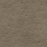 Twitter-nj - # 290 pigeon- Maxwell Fabric By The Yard