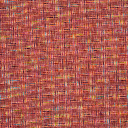 Olivetti-# 824 berry