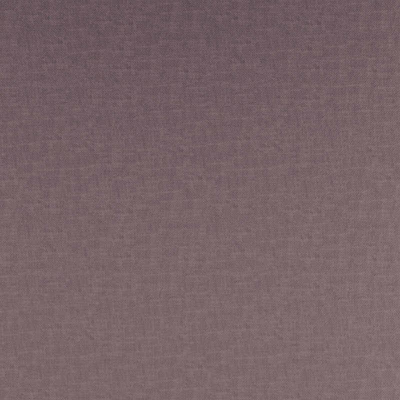 Fidelio-# 798 lilac