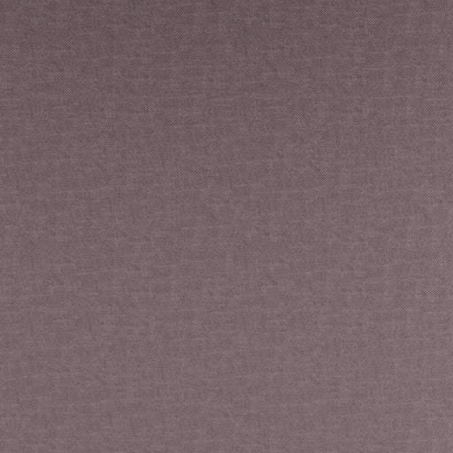 Fidelio-# 798 lilac