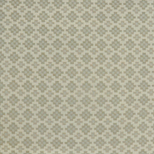 Groundplan-# 834 mushroom