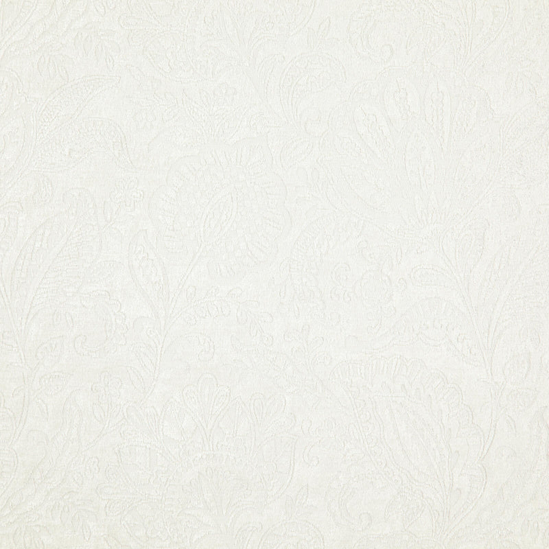 Folie-# 334 swan
