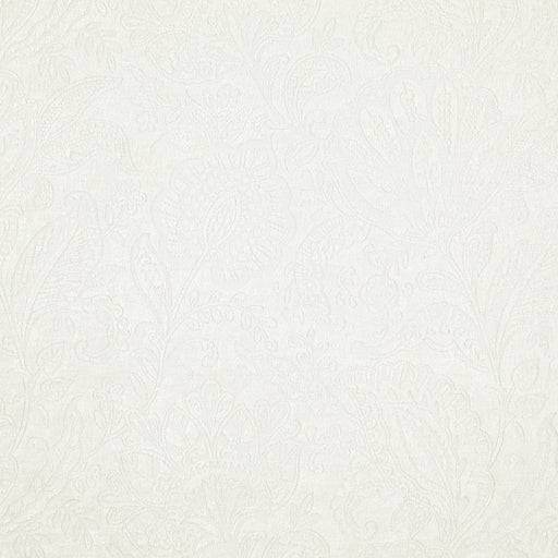 Folie-# 334 swan