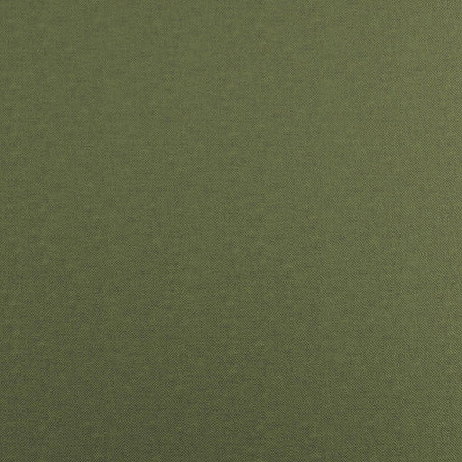 Fidelio-# 742 moss