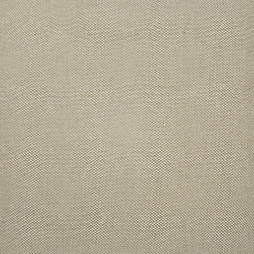 Panda-# 305 stone