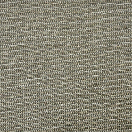 Spinnaker-# 815 graphite
