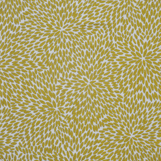 Rosaprima-# 732 marigold