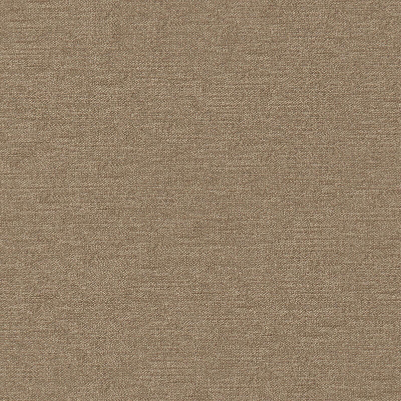 Impasto-# 912 sparrow