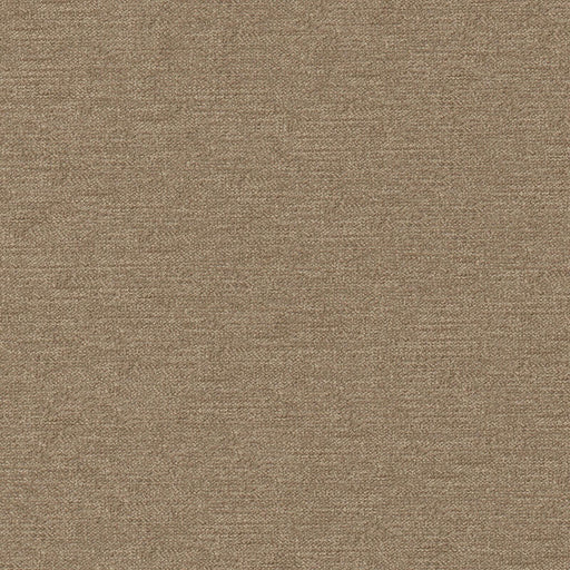 Impasto-# 912 sparrow