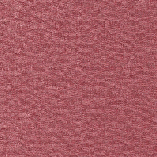Conte-# 881 peony