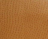 Phoenix(contract vinyl) - # 005 chutney- Maxwell Fabric By The Yard