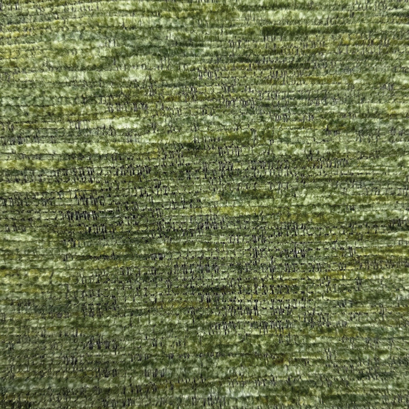 Benson-ess-# 340 algae