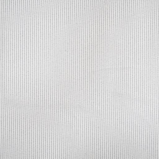Paulsen-# 303 lunar