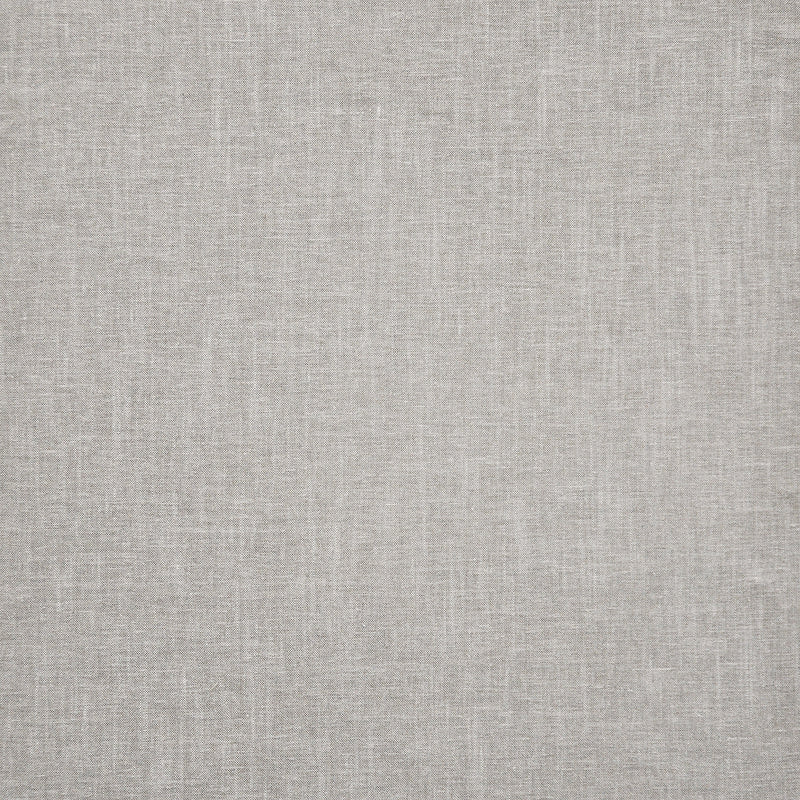 Wallaby-# 331 grey
