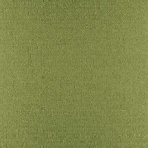 Phobos-# 317 palm