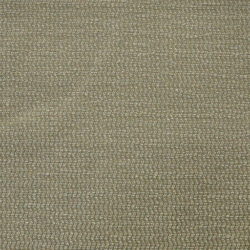 Spinnaker-# 812 pebble
