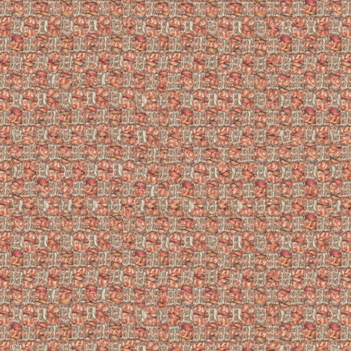 Trillian-# 248 blossom