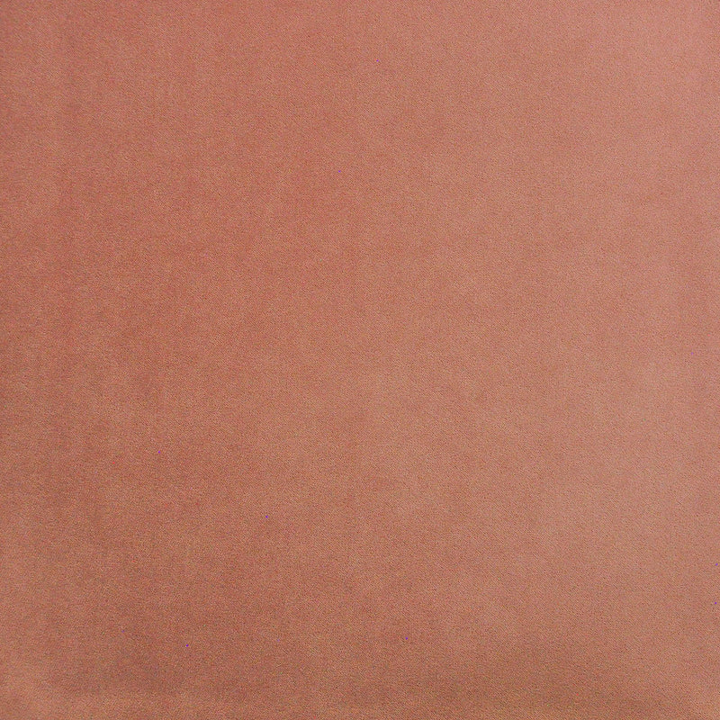 Palermo-# 427 rose