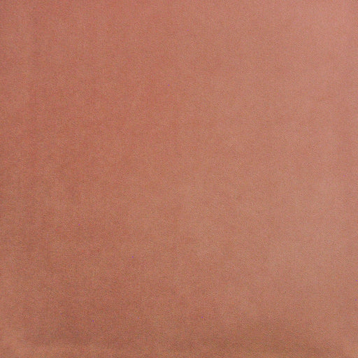 Palermo-# 427 rose