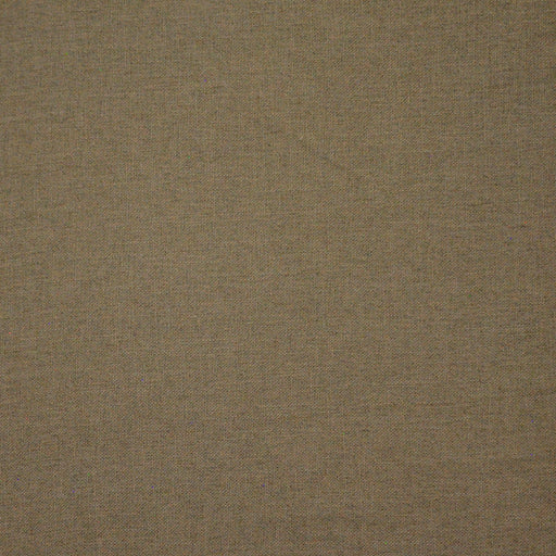 Yoji-# 554 sparrow