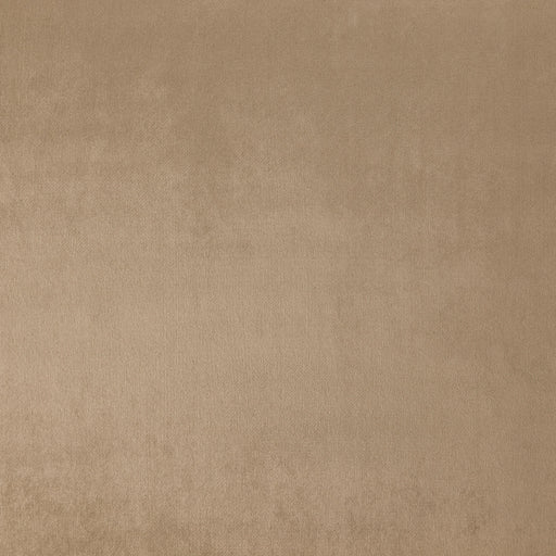 Zurich-# 43 almond
