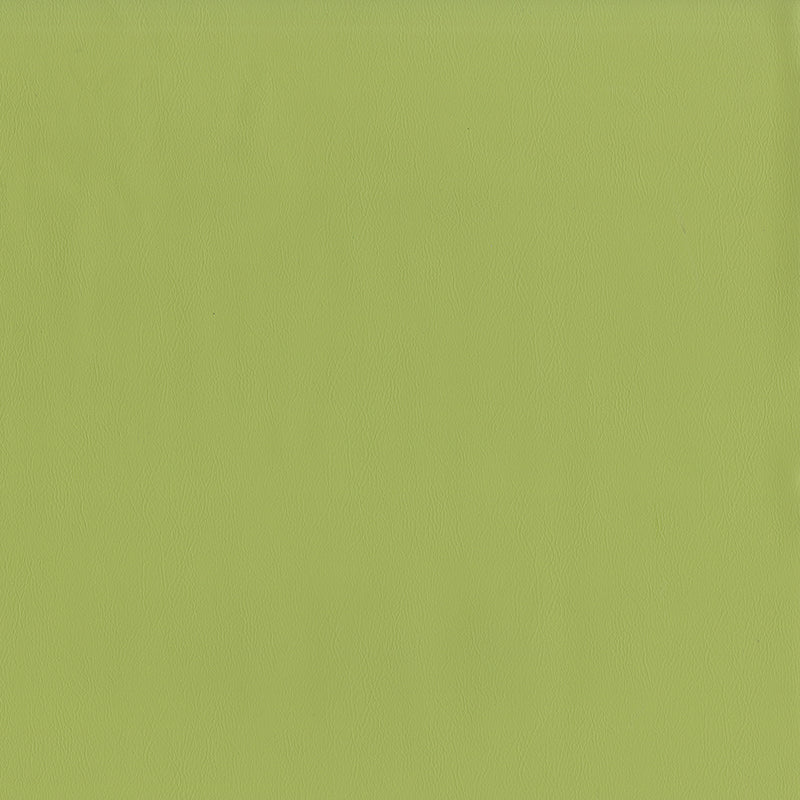 Jackson-# 615 aloe