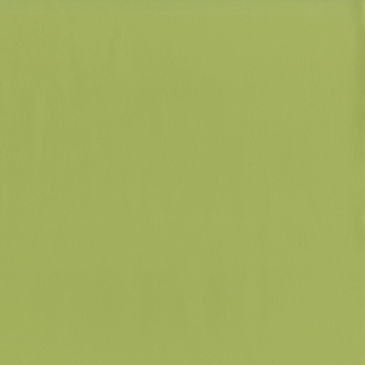 Jackson-# 615 aloe