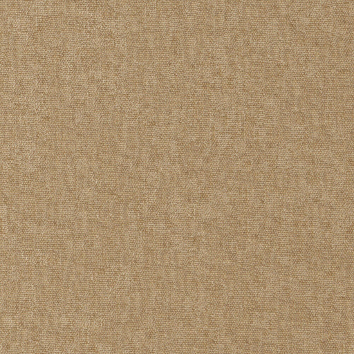 Conte-# 951 buff