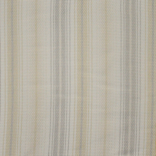 Honshu-# 547 dove