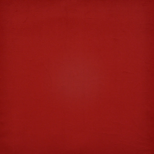 Bacall-# 730 rose
