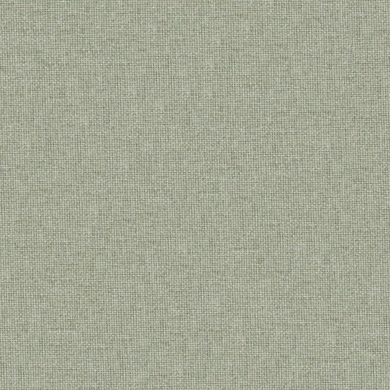 Valentina-# 113 seagrass