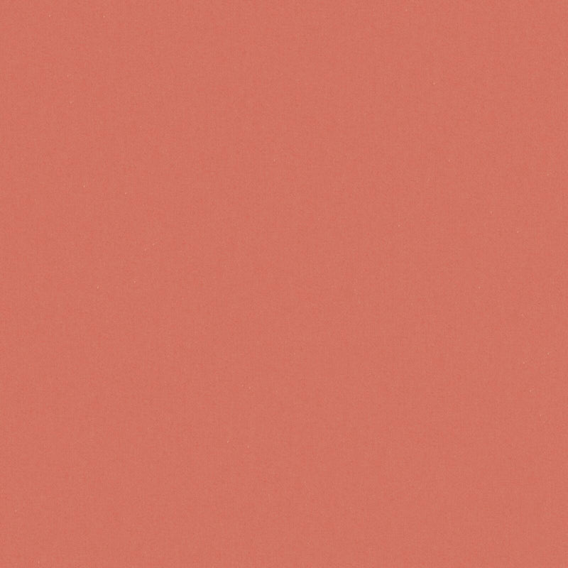 Zaitun-# 527 coral