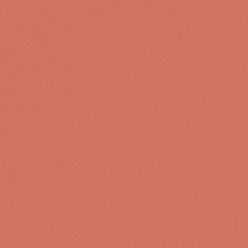 Zaitun-# 527 coral
