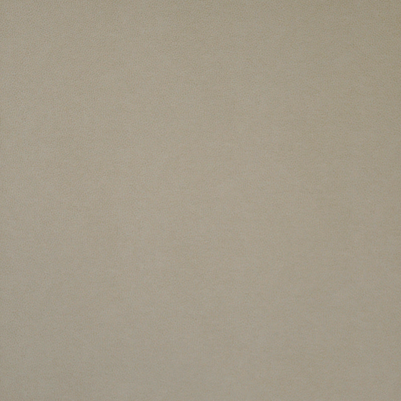 Pony express-# 011 parchment