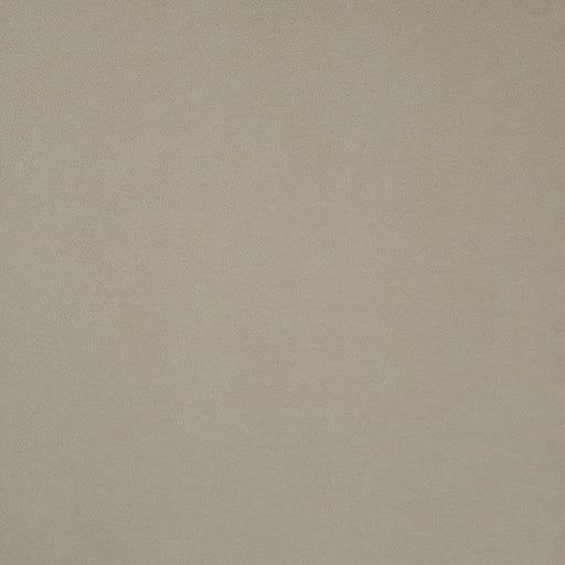 Pony express-# 011 parchment