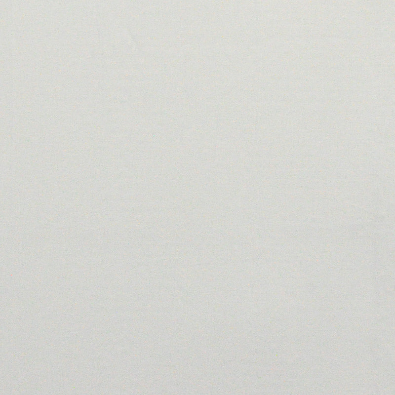 Tamar-# 423 goose