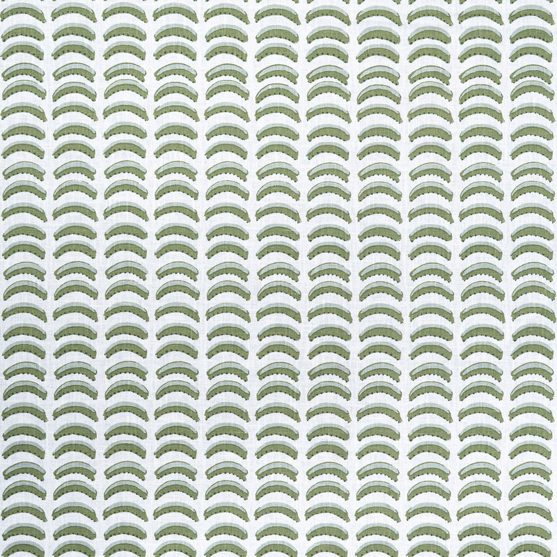 Tuttle-# 629 grass