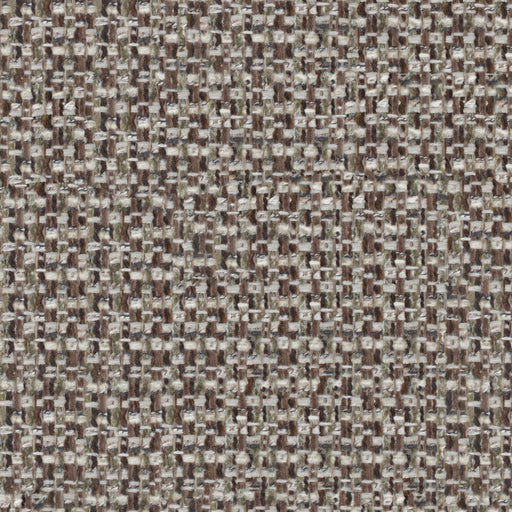 Ramon-# 361 fudge