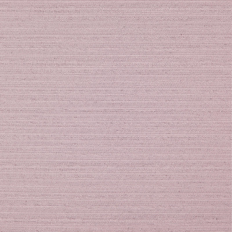 Darwin-# 718 lilac