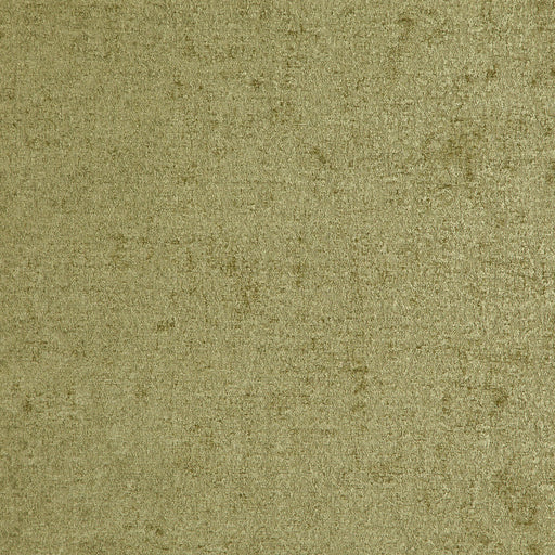 Vaudeville-# 312 grass