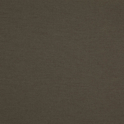 Hatha-# 20 fossil
