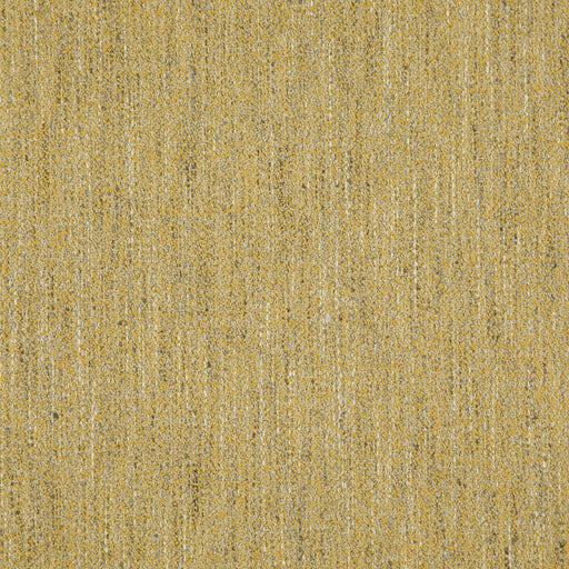 Solar system-# 407 apricot