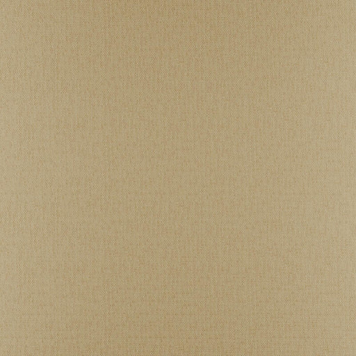 Phobos-# 314 camel
